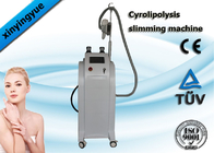 Fat Reducing Cryolipolysis Slimming Machine Cavitaion RF Cryo Fat Freezing Machine